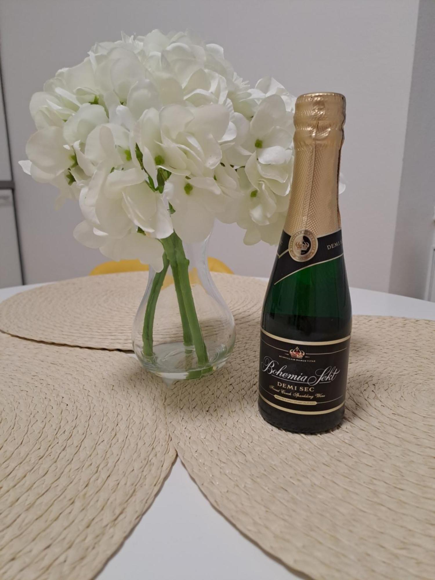 Apartmans Mwm Апартаменты Брно
